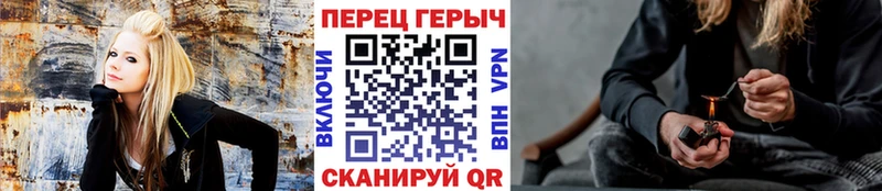 Героин афганец  продажа наркотиков  Приморск 