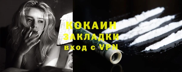 мет Няндома