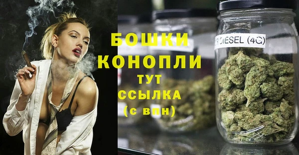 мет Няндома