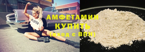 индика Бабаево