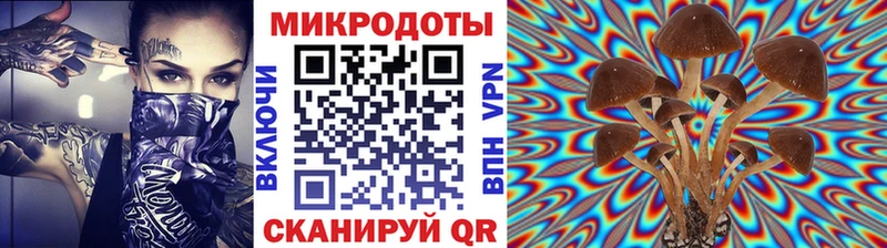 Галлюциногенные грибы Magic Shrooms  Приморск 